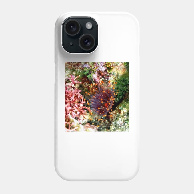 Orange Ball Corallimorph Anemone Phone Case by Scubagirlamy