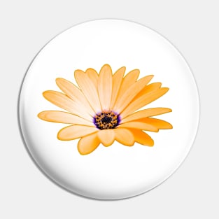 Orange daisy Pin