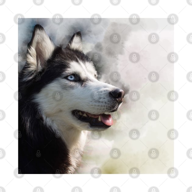 Husky photo montage by Noamdelf06