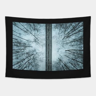 Road through winter forest Tapestry