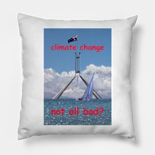 Climate Change Pillow