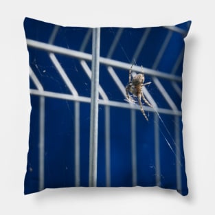 Spider In The Web On Metal Fence Pillow