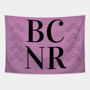 BCNR Tapestry