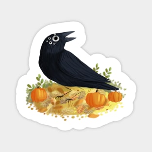 Crow with pumpkins Magnet