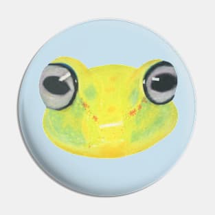 Polka Dot Tree Frog :: Reptiles and Amphibians Pin