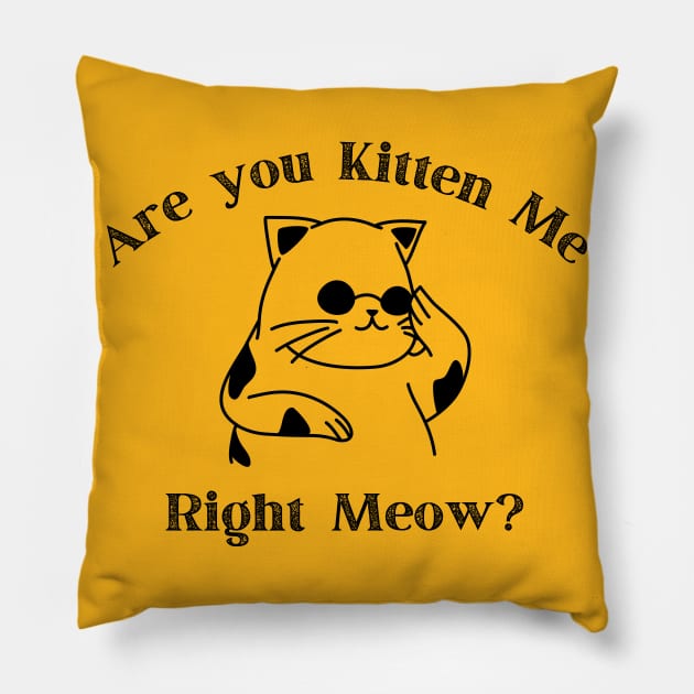 Are you kitten me right meow Pillow by StarWheel