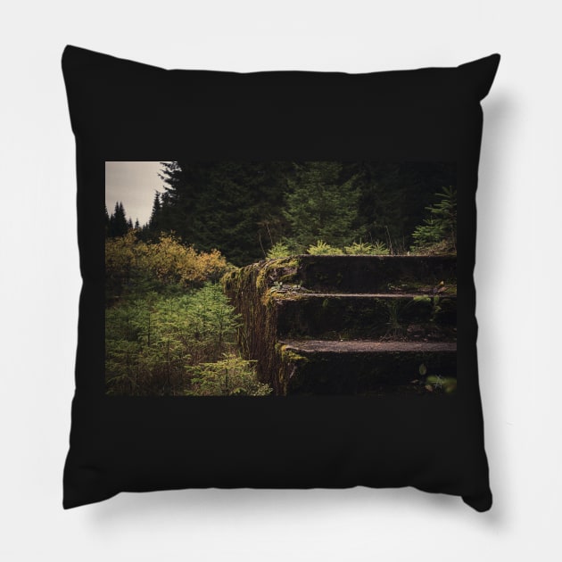 Nature takes control back #3 Pillow by RichardCBAT