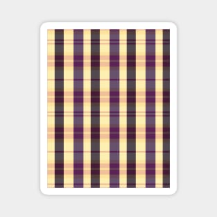 Sunset and Sunrise Aesthetic Evander 1 Hand Drawn Textured Plaid Pattern Magnet