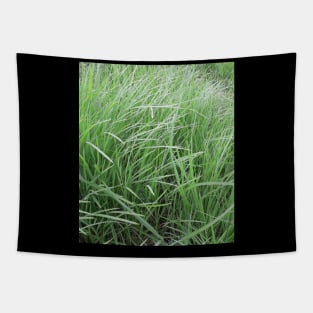 green grass Tapestry