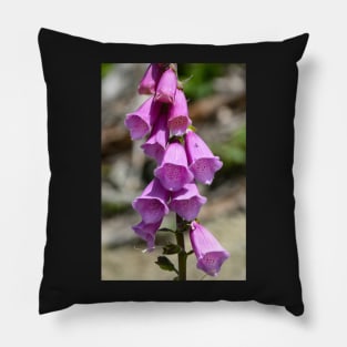 Bright pink common foxglove Pillow