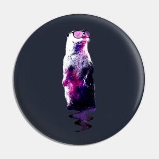 Galaxy Otter Pin