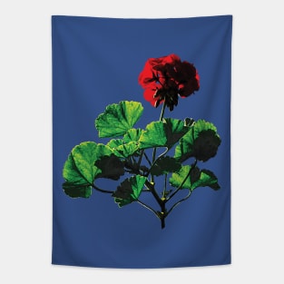 Backlit Red Geranium Tapestry