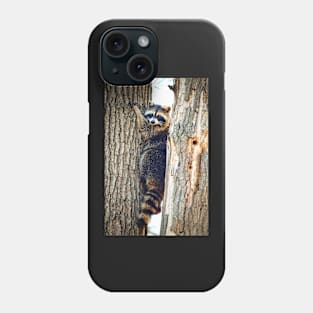 "Just Hang'n Out" - Raccoon Nature Photography Phone Case