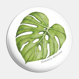 Monstera Deliciosa | Plant Pin