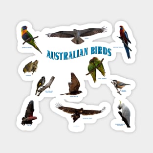 Australian native birds collection Magnet