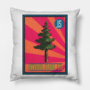 No.15 Interior Grand Fir Pillow