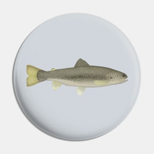 Draa Trout Pin