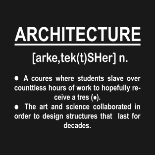 Architecture Funny Noun Definition T-Shirt