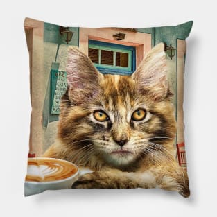 Maine Coon Cat With Coffee Pillow