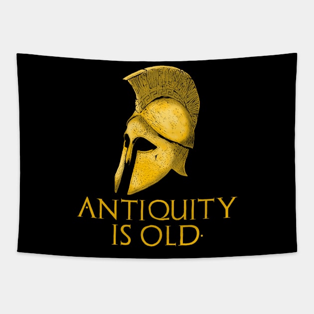 Antiquity Is Old - Ancient Greek Helmet Tapestry by Styr Designs