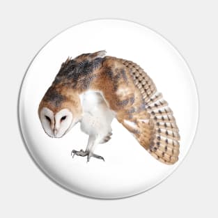 Defensive Young Barn Owl Pin