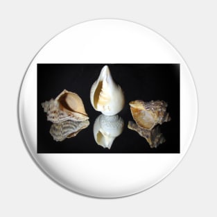 Conch shells Pin