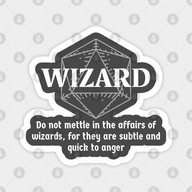 "Do Not Mettle In The Affairs Of Wizards, For They Are Subtle And Quick To Anger" - D&D Wizard Magnet by DungeonDesigns