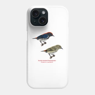 Scarlet-backed Flowerpecker | Dicaeum cruentatum ⚥ Phone Case