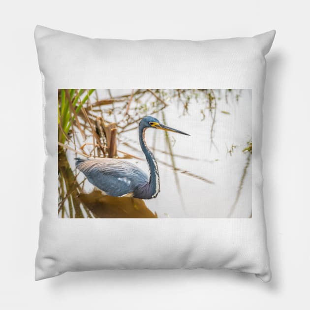 Tri-colored Heron Wading the Shallows Pillow by Debra Martz