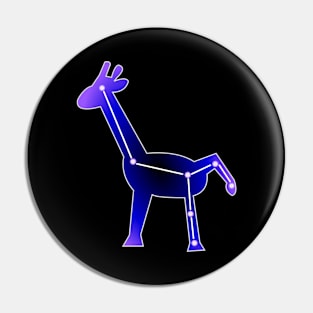 Constellation Pin