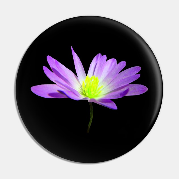 purple blooming flower, flowers, garden, blooms, violet Pin by rh_naturestyles