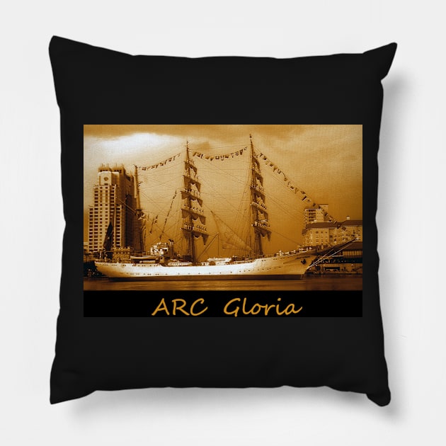 ARC Gloria in salute Pillow by dltphoto