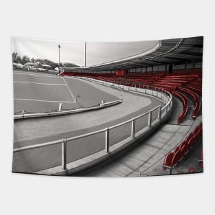 The Ryan McBride Brandywell Stadium - Derry City FC League of Ireland Football Artwork Tapestry