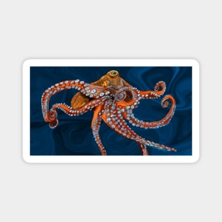 Pacific Octopus Magnet