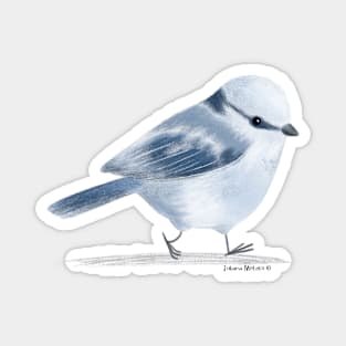 Azure Tit Bird Magnet