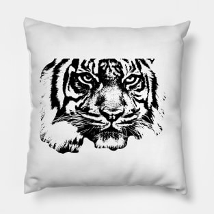 Tiger, big cat, hunter and predator Pillow