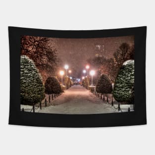 Snow Storm in the Boston Public Garden MA Massachusetts Tapestry