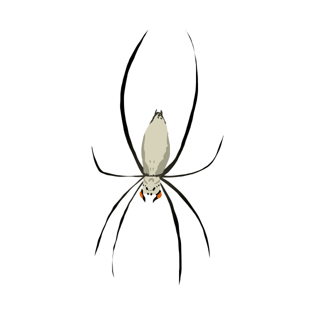 white spider by LizoLB