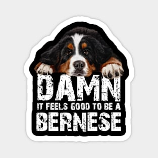 bernese mountain dog Magnet