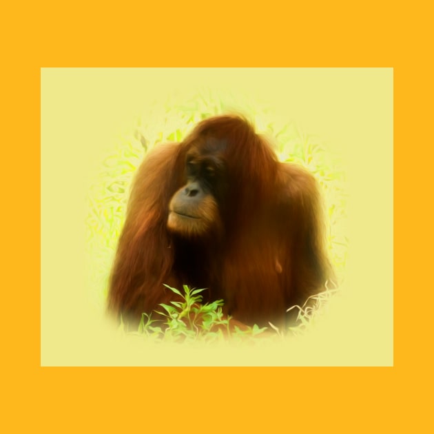 Orangutan by Guardi