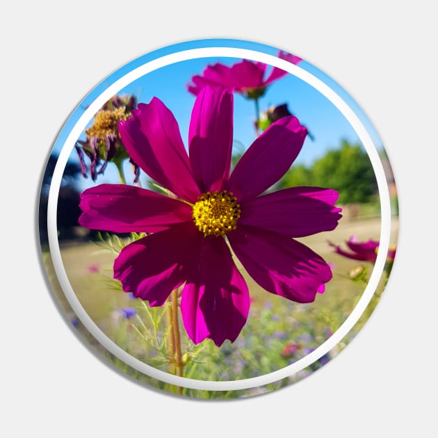 Cosmos Wildflowers Nature Circle Pin by ellenhenryflorals