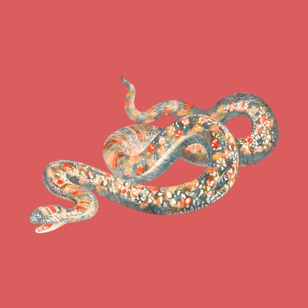 serpent,cobra,reptile,viper,venom,lizard,rattlesnake,king cobra,dragon,hydra,poison,venomous,plumber's snake,pythonidae,pythons,auger,python,squamata,serpentine,worm,big,ophidian,rattlesnakes,medusa,snakebite by vabontchi