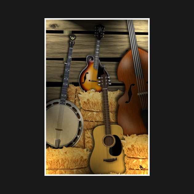 Bluegrass Instruments by oldrockerdudes