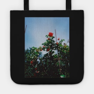 red rose instax Tote