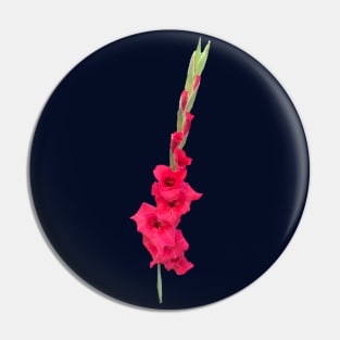 Gladiolus Pin