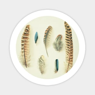 The Feather Collection Magnet