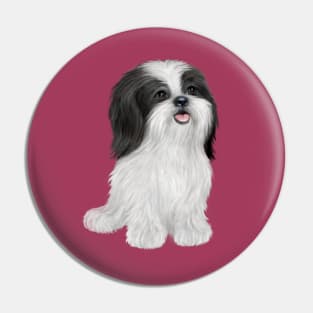 An Adorable Black and White Shih Tzu - Just the Dog Pin