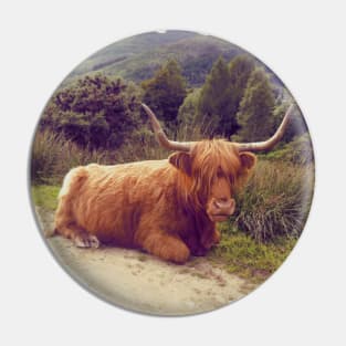 Highland cow, retro nature photography Pin