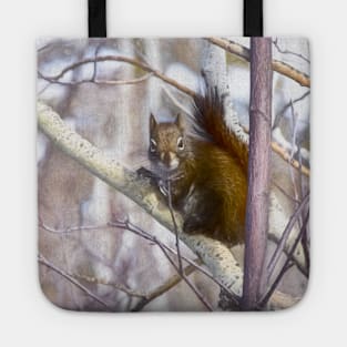 Red squirrel. "You looking at me." Tote