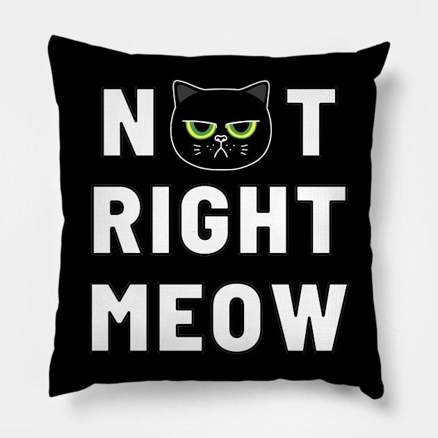 Not Right Meow (Black Cat) Pillow by agible